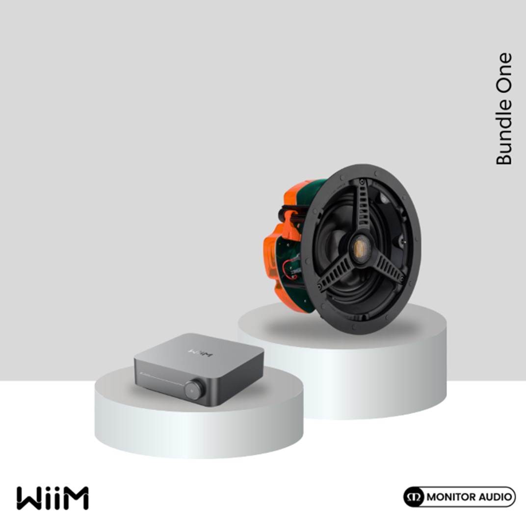 WiiM Bundle Deal 1: C165 x 2 - WiiM Amp Grey