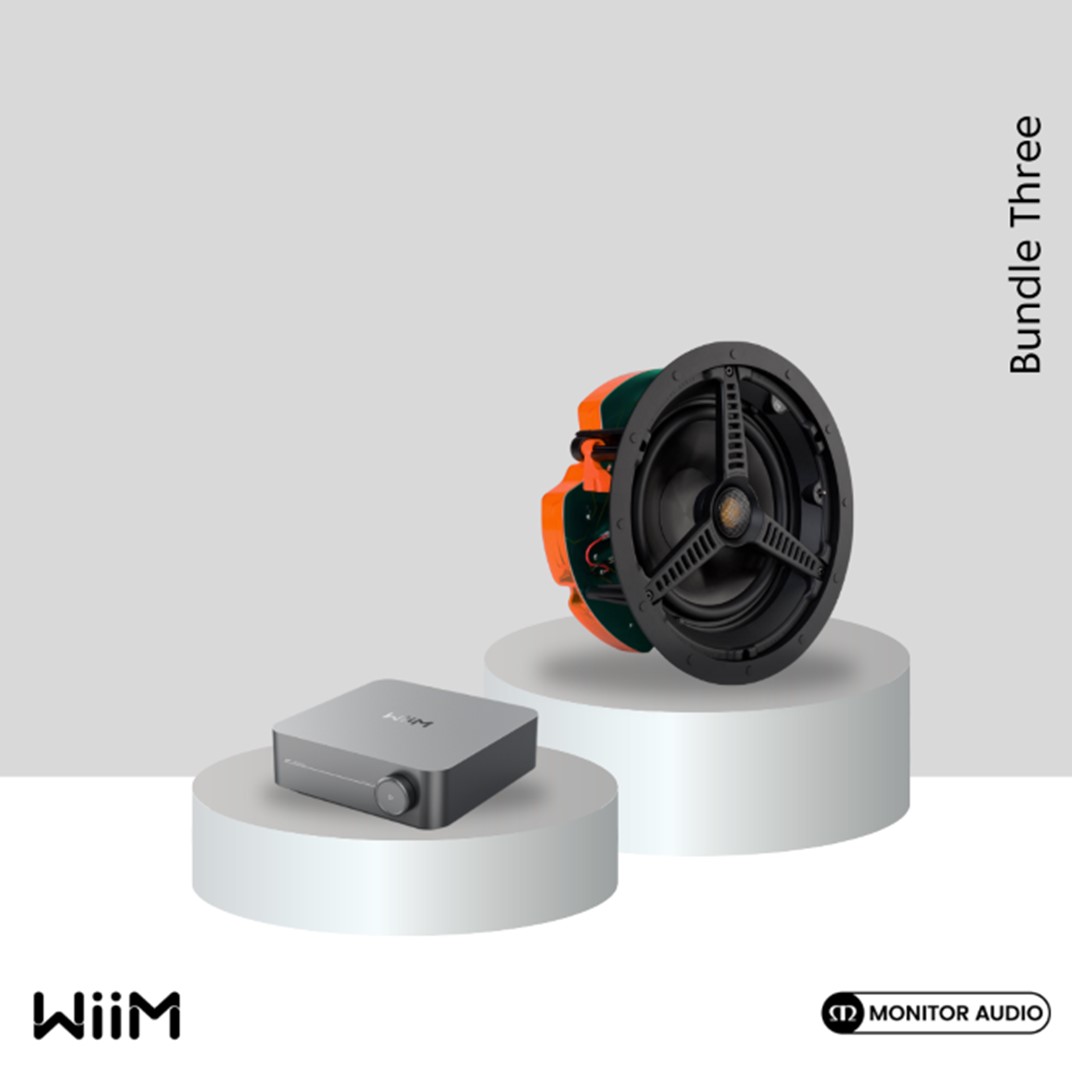WiiM Bundle Deal 3: C180 x 2 - WiiM Amp Space Grey