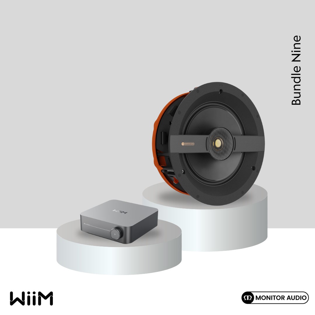 WiiM Bundle Deal 9: C1L x 2 - WiiM Amp Grey